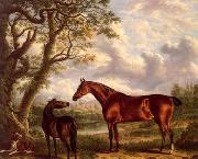 unknow artist Classical hunting fox, Equestrian and Beautiful Horses, 224. France oil painting artist